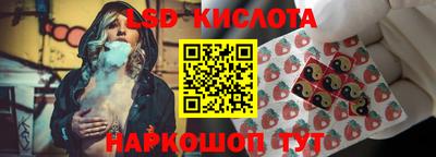 крисы Кинель