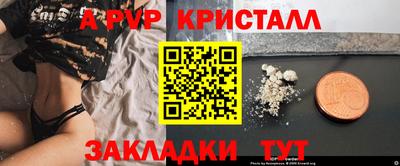 крисы Кинель