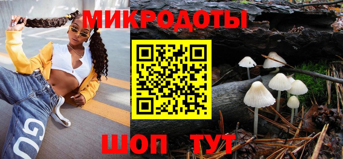 Галлюциногенные грибы Psilocybine cubensis Курчалой